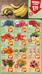 REWE Obst im Prospekt REWE Obst im Prospekt