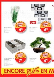 Plante Verte Angebote im Prospekt "SUPER DEAL" von B&M auf Seite 8