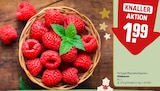 Himbeeren für 1,99 € bei REWE im Angebot Himbeeren im aktuellen REWE Prospekt