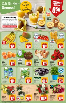 Geranien im REWE Prospekt "Dein Markt" mit 34 Seiten (Ingolstadt)