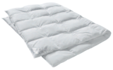 Aktuelles Kopfkissen Angebot bei Matratzen Concord in Stuttgart ab 49,90 €