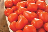 Intermarché Contact Camarès - Promo Tomate Allongée Promo Tomate Allongée à 1,99 € dans le catalogue Intermarché Contact à Camarès