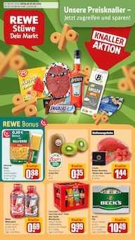 Aktueller REWE Prospekt für Heidenau mit  Seiten