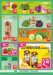 Aktueller Marktkauf Prospekt mit Sonnenblume, "AUSWAHL RIESIG, PREISE NIEDRIG", Seite 9