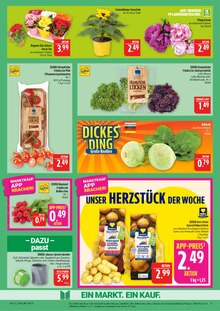 Salat im Marktkauf Prospekt "AUSWAHL RIESIG, PREISE NIEDRIG" mit 44 Seiten (Nürnberg)