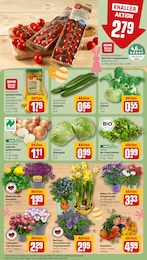 Tomaten Angebot im aktuellen REWE Prospekt auf Seite 9