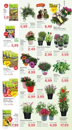 Komposter Angebot im aktuellen Jawoll Prospekt auf Seite 6