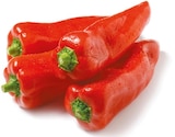 Spitzpaprika rot im aktuellen Netto mit dem Scottie Prospekt
