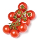 Cocktail-Rispen-Tomaten bei Netto mit dem Scottie im Eberswalde Prospekt für 1,49 €