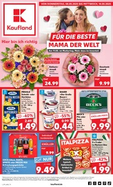 Kaufland Supermarkt Prospekt der aktuellen Woche mit 62 Seiten, gültig von 08.05.2025 bis 14.05.2025, in Mallersdorf-Pfaffenberg und Umgebung Aktueller Kaufland Supermarkt Prospekt in Mallersdorf-Pfaffenberg und Umgebung, "Aktuelle Angebote" mit 62 Seiten, 08.05.2025 - 14.05.2025