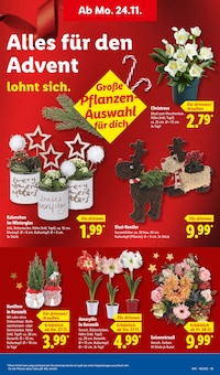Hülsenfrüchte Angebot im Lidl Prospekt, gültig von 24.11.2025 bis 29.11.2025 Hülsenfrüchte Angebot im aktuellen Lidl Prospekt auf Seite 13