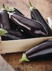 Promo Aubergine à 1,59 € dans le catalogue Intermarché Hyper à Alès