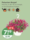 Petunien Ampel im V-Markt Prospekt Petunien Ampel von im aktuellen V-Markt Prospekt fĂŒr 7,99 âŹ