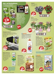 Aktueller V-Markt Prospekt mit Blumenerde, "V-Markt einfach besser einkaufen", Seite 20