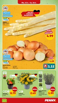 Pflanzen im Penny Prospekt "Wer günstig will, muss Penny." mit 40 Seiten (Hannover)