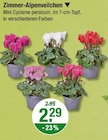 Zimmer-Alpenveilchen von  im aktuellen V-Markt Prospekt für 2,29 €