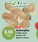 Austernpilze Angebote bei aktiv & irma Oldenburg für 0,66 €