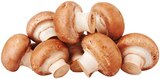 Braune Champignons im Angebot bei REWE in Beckum Braune Champignons Angebote von REWE Beste Wahl bei REWE Beckum für 1,59 €