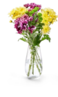Lilien- oder Chrysanthemenstrauß im Angebot bei Kaufland in Göttingen Lilien- oder Chrysanthemenstrauß Angebote bei Kaufland Göttingen für 2,99 €