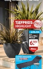 ALDI SÜD Friedberg - Kleiner Rillen-Pflanztopf Angebot im Prospekt Kleiner Rillen-Pflanztopf bei ALDI SÜD im Friedberg Prospekt für 6,99 €