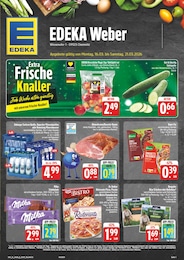 EDEKA Prospekt für Lugau: "Wir lieben Lebensmittel!", 32 Seiten, 16.03.2026 - 21.03.2026