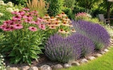 Lavendel im Angebot bei Netto Marken-Discount in Fürth Lavendel Angebote bei Netto Marken-Discount Fürth für 3,99 €