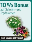 REWE Buchholz - Angebot im Prospekt bei REWE im Buchholz Prospekt für