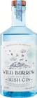 Slow Distilled Irish Gin Angebot in Steinebach Slow Distilled Irish Gin im aktuellen Prospekt bei Lidl in Steinebach