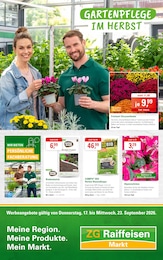 Der aktuelle ZG Raiffeisen Prospekt Der aktuelle ZG Raiffeisen Prospekt GARTENPFLEGE IM HERBST