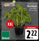EDEKA Recke - Basilikum Angebot im Prospekt Basilikum bei EDEKA im Recke Prospekt für 2,22 €