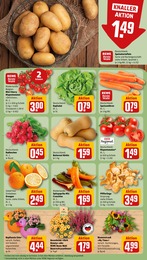Schnittblumen Angebot & Preis im aktuellen REWE Prospekt Schnittblumen Angebot im aktuellen REWE Prospekt auf Seite 5