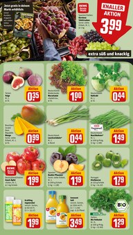 Kiwi im aktuellen REWE Prospekt (Frankfurt (Main)) Kiwi im REWE Prospekt "Dein Markt" mit 28 Seiten (Frankfurt (Main))