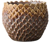 Aktuelle Blumentopf Angebote bei Rusta in Essen Aktuelles Blumentöpfe fĂŒr den Innenbereich Angebot bei Rusta in Essen ab 9,99 âŹ