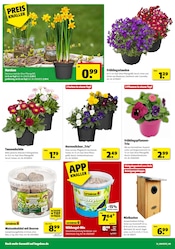 Tierfutter im Hagebaumarkt Prospekt in Melle Aktueller Hagebaumarkt Prospekt mit Tierfutter, "HOL DIR FREUDE IN DEINEN GARTEN", Seite 18