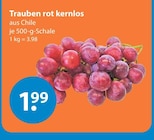 Trauben rot kernlos im V-Markt Prospekt Trauben rot kernlos von im aktuellen V-Markt Prospekt für 1,99 €