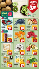 Tierfutter im REWE Prospekt in Mainz Aktueller REWE Prospekt mit Tierfutter, "Dein Markt", Seite 6