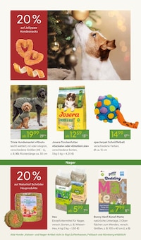 Teppichboden im aktuellen Pflanzen Kölle Prospekt (Potsdam) Teppichboden im Pflanzen Kölle Prospekt "GROSSER WEIHNACHTSBAUM-VERKAUF" mit 12 Seiten (Potsdam)