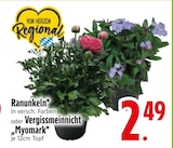 EDEKA München Prospekt mit  im Angebot für 2,49 €