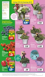 Blaubeeren im Lidl Prospekt "LIDL LOHNT SICH" auf Seite 7