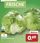 combi Rheine - Deutscher Eisbergsalat Angebot im Prospekt Deutscher Eisbergsalat bei combi im Rheine Prospekt für 0,69 €