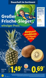 Ananas im Lidl Prospekt in Remscheid Aktueller Lidl Prospekt mit Ananas, "LIDL LOHNT SICH", Seite 2