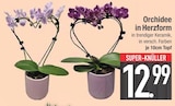 Orchidee in Herzform von  im aktuellen EDEKA Prospekt für 12,99 €