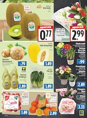 Blumen im EDEKA Prospekt in Gießen Aktueller EDEKA Prospekt mit Blumen, "Aktuelle Angebote", Seite 5