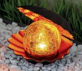 Solar-Dekolicht Muschel Angebote bei toom Baumarkt Stade für 9,99 €