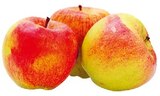 REWE Herne - Tafeläpfel Elstar Angebot im Prospekt Tafeläpfel Elstar bei REWE im Herne Prospekt für 1,99 €