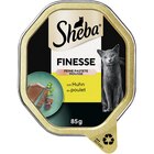 SHEBA® Finesse in Mousse mit Huhn 85g im Angebot bei Zookauf in Voerde SHEBA® Finesse in Mousse mit Huhn 85g Angebote von Sheba bei Zookauf Voerde für 0,55 €