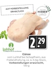 Gans bei Hieber im Prospekt "" für 2,29 €