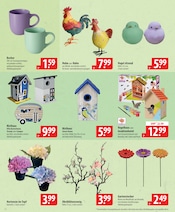 Aktueller famila Nordost Prospekt mit Gartendeko, "besser als gut!", Seite 22