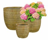 Angebot im Hagebaumarkt Amberg Prospekt Hagebaumarkt Amberg Prospekt mit im Angebot für 12,99 €