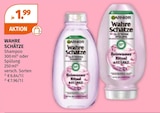 Wahre Schätze Angebote von Garnier bei Müller Celle für 1,99 €